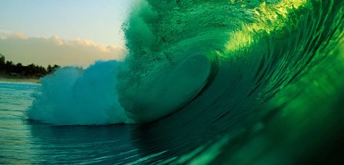 La piscicoltura sostenibile e le piantagioni di alghe oceaniche cambieranno il futuro dell'agricoltura e della nostra alimentazione? Qualcuno ci scommette!