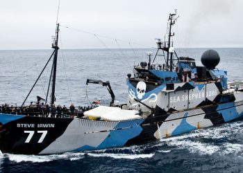 Sea Shepherd