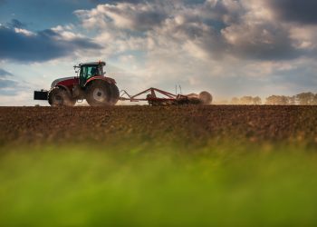 A Roma lo scorso 2 febbraio è stato presentata Agronetwork l'associazione che faciliterà il dialogo tra le imprese che operano nel settore agroalimentare