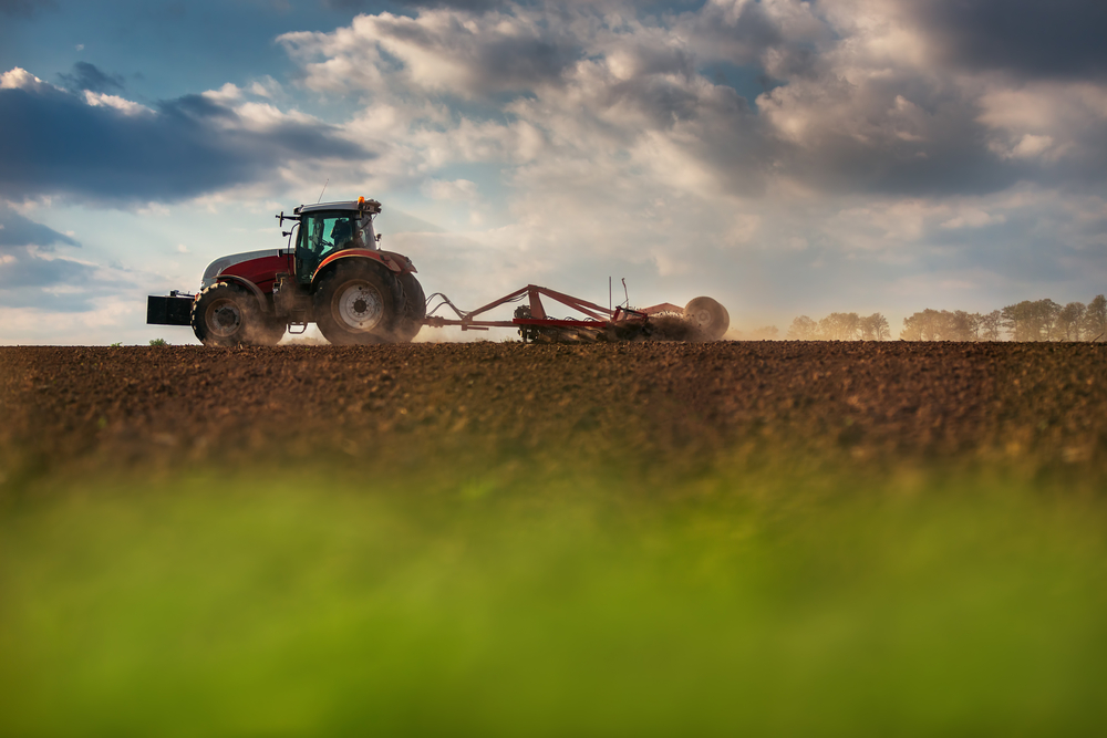 A Roma lo scorso 2 febbraio è stato presentata Agronetwork l'associazione che faciliterà il dialogo tra le imprese che operano nel settore agroalimentare