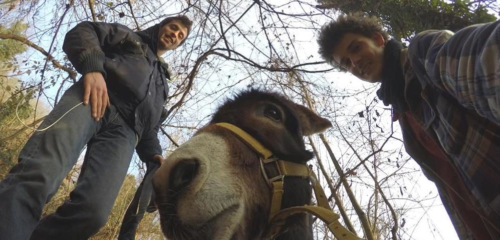 Da Palermo a Torino, un viaggio a piedi in compagnia di un asino