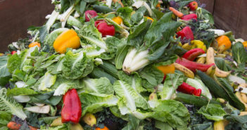 Sprechi alimentari negli States: al Congresso una nuova legge sprechi alimentari