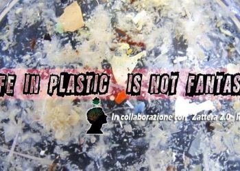 Life in plastic is not fantastic