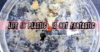 Zattera 2.0 “Rosetta”: sabato a Milano l’incontro “Life in plastic is not fantastic” Life in plastic is not fantastic