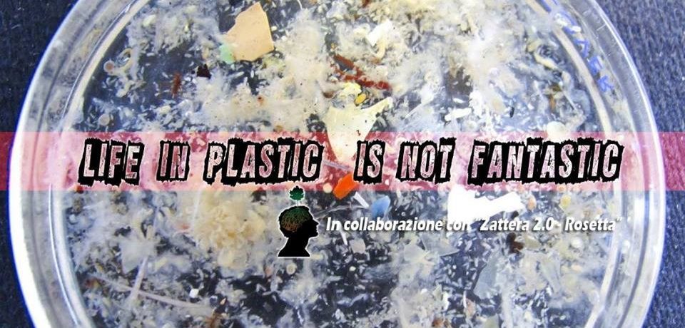 Life in plastic is not fantastic