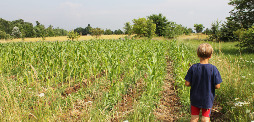 Agricoltura del futuro