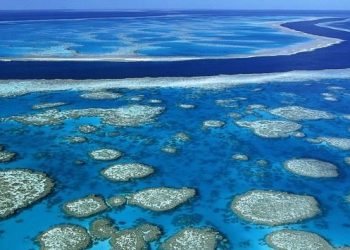 barriera corallina australia