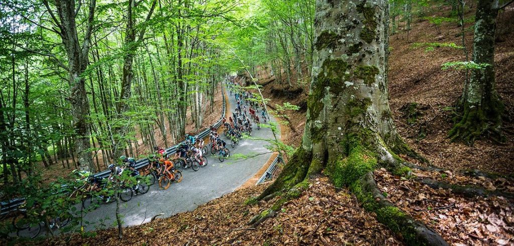 Giro d'Italia Ride green