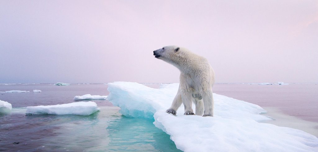 Cambiamenti climatici