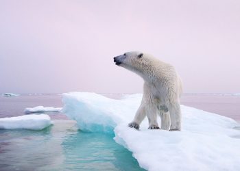 Cambiamenti climatici