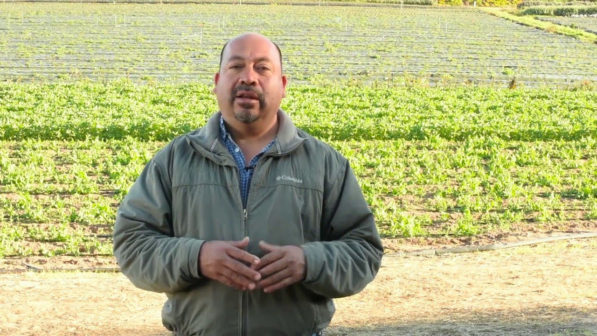 Javier Zamora di JSM Organic Farms - biodiversità in agricoltura