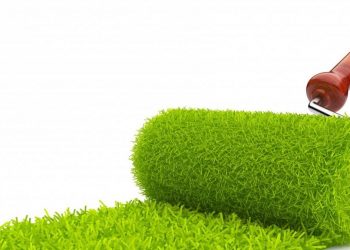 Vernice ecologica: arriva dal Regno Unito l'innovativa pittura a base di grafene