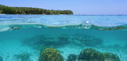Nuova fonte energetica: dagli Stati Uniti arriva l’energia pulita che farà dimenticare il carbon fossile