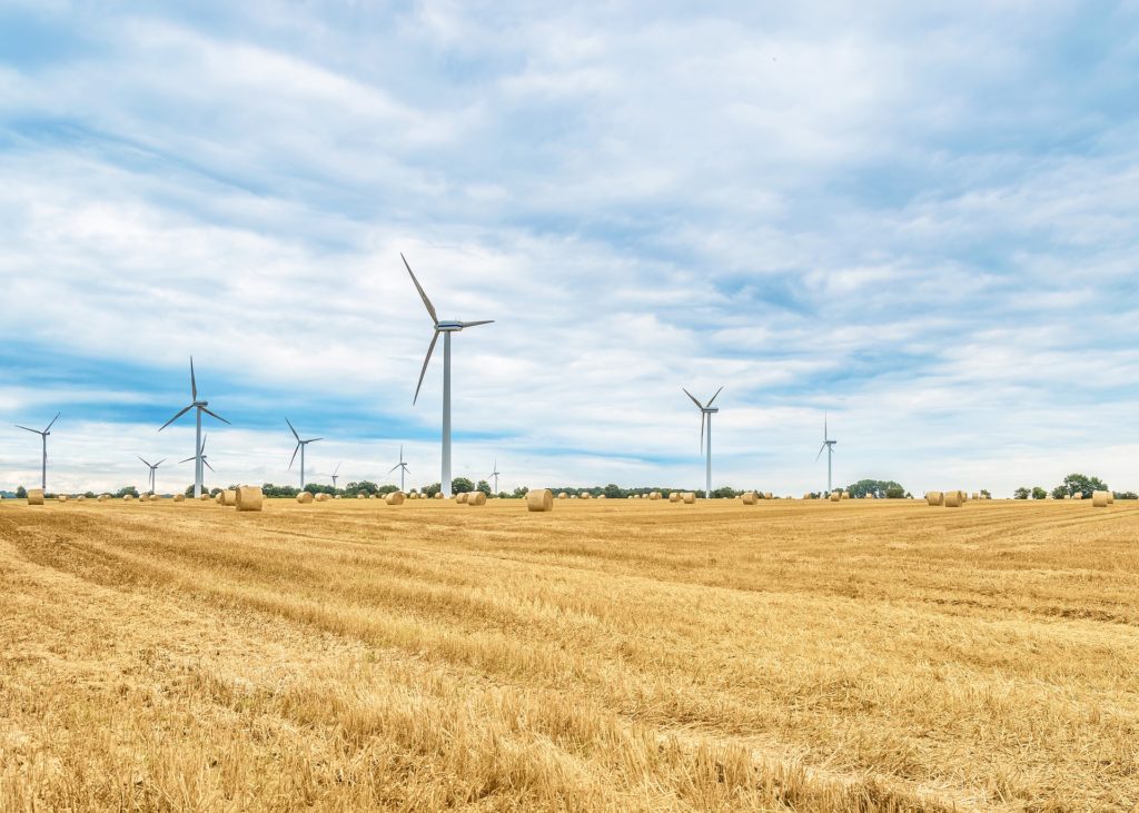 wind turbine in a corn field (https://pixabay.com/)
