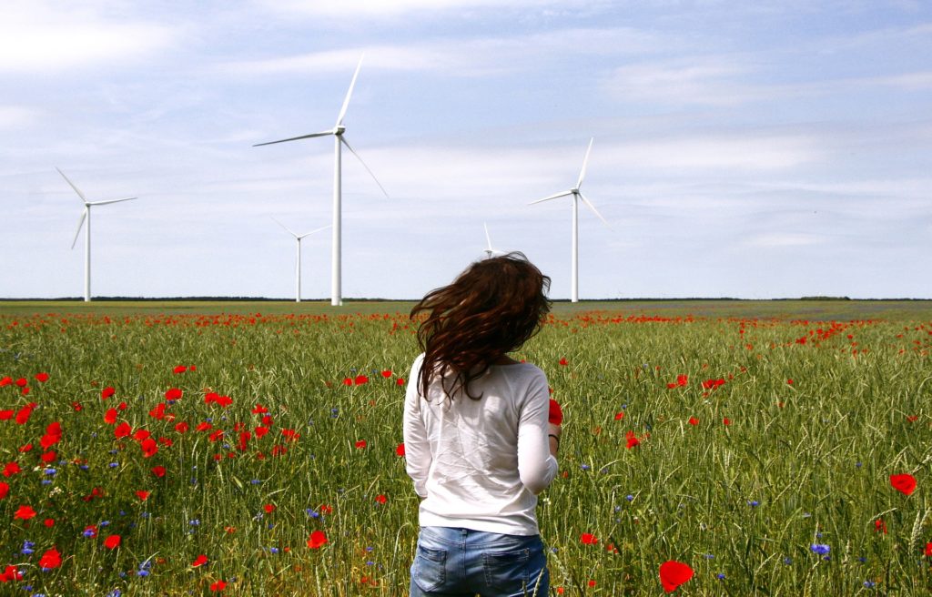 turbine eoliche con prato fiorito di papaveri e ragazza di schiena(https://pixabay.com/)