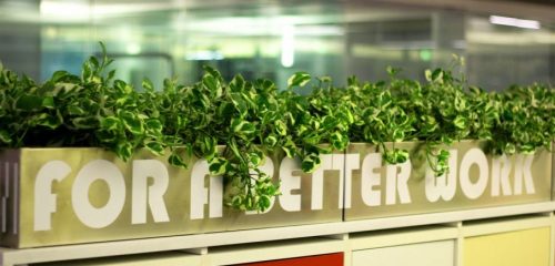 Ufficio sostenibile: alcuni trucchi per lavorare meglio e inquinare meno