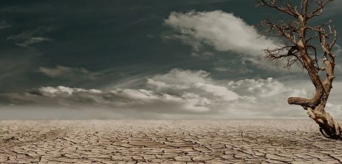 fermare il cambiamento climatico