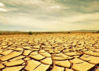 Conseguenze dei cambiamenti climatici: una situazione irreversibile?