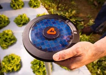Agricoltura sostenibile: un aiuto alle colture dal sensore Pulsepod