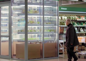 supermercati e indoor farming