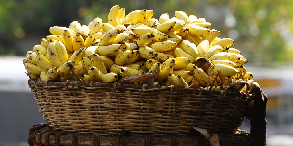 Energia elettrica dalle banane: ecco l'invenzione sostenibile di un ragazzo indiano