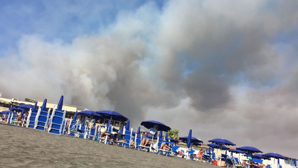 incendio nella pineta di ostia