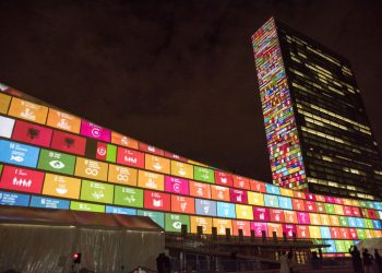 Nazioni Unite incentivano la sostenibilità