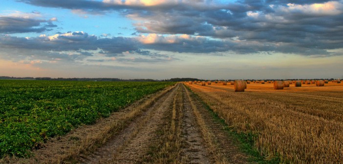 Agricoltura bio e bio industriale