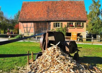 biofuel da legno cippato