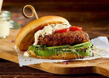 Hamburger di insetti: arriva anche in Europa il cibo del futuro