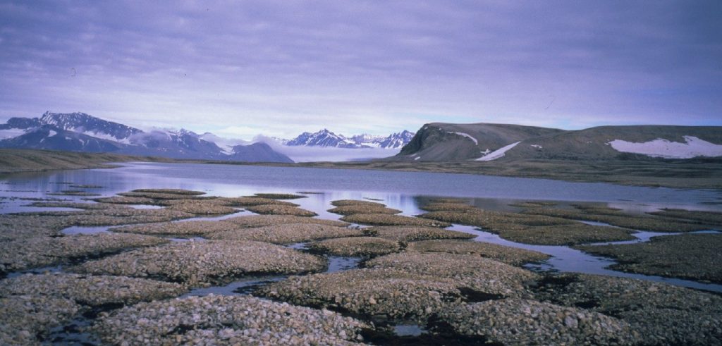 permafrost features on Kvadehukslette