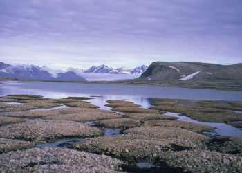 permafrost features on Kvadehukslette