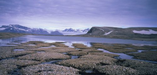 permafrost features on Kvadehukslette