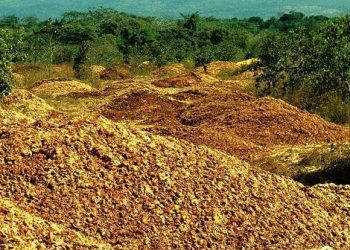 Agricoltura circolare: l'enorme potenziale dei prodotti di scarto