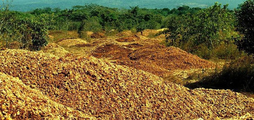 Agricoltura circolare: l'enorme potenziale dei prodotti di scarto