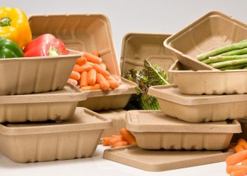 Protezione sostenibile degli alimenti: il packaging naturale che difende i cibi dai batteri
