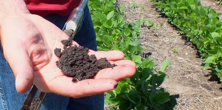 Sostenibilità e biodiversità agricola