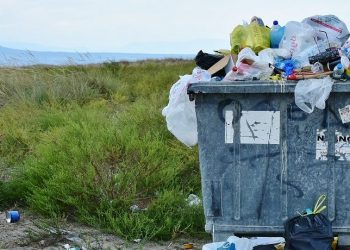 effetti dei cambiamenti climatici sulla fauna marina