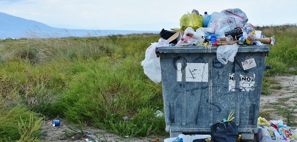 effetti dei cambiamenti climatici sulla fauna marina