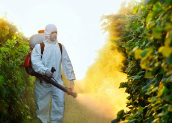 Smaltimento dei pesticidi: una startup americana riesce ad eliminarli direttamente sul campo