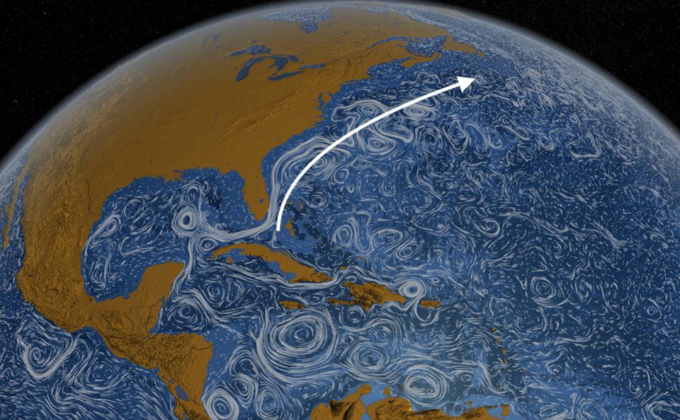 Gli scienziati sono ormai da diverso tempo a conoscenza del fenomeno chiamato "warming hole" un termine che potremmo tradurre con "il buco del riscaldamento" ovvero un'area dell'Oceano Atlantico Settentrionale che risulterebbe immune al surriscaldamentdo delle acque oceaniche terrestri. La formazione di quest'area sembrerebbe associabile a un rallentamento della cicrolazione delle correnti oceaniche nella pare più meridionale dell'Atlantico, lì dove avvengono gli "spostamenti chiave" della circolazione oceanica globale. Correnti oceaniche, nuovi studio all'orizzonte! Di una ricerca condotta da un team di scienziati dell'università di Yale e dalla University of Southhampton. Il team di ricerca avrebbe infatti scoperto che la perdita del ghiaccio artico causata dal riscalamento globale, potrebbe influire negativamente sul più grande sistema di circolazione delle correnti oceaniche dell'intero pianeta. Perché sono importanti le correnti ocaniche? Ci sono tantissimi motivi per cui possiamo considerare importanti le correnti oceaniche. Tra questi motivi ricordiamo i più importnati e i più curiosi. Sono importnati perché posono aiutarci a ridurre i costi di spedizione, in quanto viaggiare senza averle contro riduce i costi del carburante. Nell'era della vela, alimentata dal vento, la conoscenza delle correnti oceaniche era ancora più essenziale. Le correnti oceaniche sono molto importanti anche nella diffusione di molte forme di vita. Un esempio? Il ciclo di vita dell'anguilla europea. Queste correnti influiscono anche sulle temperature in tutto il mondo. Ad esempio, la corrente oceanica che porta acqua calda dall Atlantico settentrionale all'Europa nordoccidentale blocca cumulativamente e lentamente i ghiacci lungo le rive del mare, impedendo anche alle navi di entrare ed uscire dalle vie navigabili interne e dai porti marittimi, per cui le correnti oceaniche svolgono un ruolo decisivo nell'influenzare i climi delle regioni attraverso le quali scorrono. Le correnti d'acqua dell'oceano freddo che scorrono da regioni polari e subpolari portano con sé molto plancton, cruciale per la sopravvivenza di diverse specie chiave negli ecosistemi marini. Poiché il plancton è il cibo dei pesci, le abbondanti popolazioni di pesci vivono spesso dove prevalgono queste correnti. Le correnti oceaniche possono essere utilizzate anche per la produzione di energia elettrica marina, con sperimentazioni in zone quali quelle al largo del Giappone, della Florida e delle Hawaii. L'AMOC, un acronimo che sta per Atlantic meridional overturning circulation è una delle più grandi correnti oceaniche dell'Oceano Atlantico e del mondo. In generale, trasporta acqua calda e salata verso nord, partendo dai tropici e salendo fino Sud e ad Est della Groenlandia. Questa acqua calda si raffredda alla temperatura dell'acqua circostante e quindi va a fondo perché è più salata e quindi più densa dell'acqua circostante. Questa ma massa d'acqua iù pesante andando a fondo viene quindi rispinta verso sud lungo l'Oceano Atlantico. Questo processo consente di distribuire l'acqua oceanica a livello globale. Ma la cosa più importnate, che è alla base delle preoccupazioni di molti scienziati è che questo meccanismo è uno dei modi più efficaci che ha la Terra per trasportare il calore dai tropici alle latitudini settentrionali. L'acqua calda trasportata dai tropici all'Atlantico settentrionale rilascia calore all'atmosfera, giocando un ruolo chiave nel riscaldamento dell'Europa occidentale. Quello che starebbe causando il già citato Warming Hole sarebbe quindi una sorta di rallentamento di questa circolazione globale dell'acqua oceanica. Quindi, un rallentamento della capacità del pianeta di trasferire il calore dai tropici alle latitudini settentrionali. La zona fredda potrebbe essere dovuta alla fusione di ghiaccio nell'Artico e nella Groenlandia. Ciò causerebbe un tappo d'acqua dolce (e fredda) sull'Atlantico settentrionale, inibendo l'affondamento delle acque tropicali salate è l'innescarsi del fenomeno circolatorio. Un evento simile potrebbe rallentare la circolazione globale e ostacolare il trasporto di acque calde tropicali a nord. Correnti ocaniche e scioglimento dei ghiacci La fusione del ghiaccio artico è aumentata rapidamente negli ultimi decenni e le immagini satellitari indicano che il ghiaccio marittimo artico è del 30% in meno rispetto a quello del 1979. Questa tendenza ad aumentare la fusione del ghiaccio marino nei mesi estivi non sembra rallentare e quindi, le indicazioni sono che vedremo un continuo indebolimento del sistema che regola le correnti oceaniche. Questo scenario che vedrebbe una fine o una pesante riduzione del "sistema" AMOC con delle ricadute nella circolazione dell'oceano globale sembra quasi essere il prequel di un catastrofico blockbuster prodotto a Hollywood, ma lo abbiamo visto in diverse occasioni quanto la realtà certe volte sia in grado di superare la fantasia. 