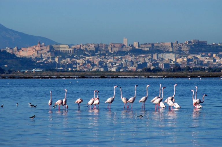 Una Partnership Eni FAI Valorizza E Apre Al Pubblico Le Saline Conti 