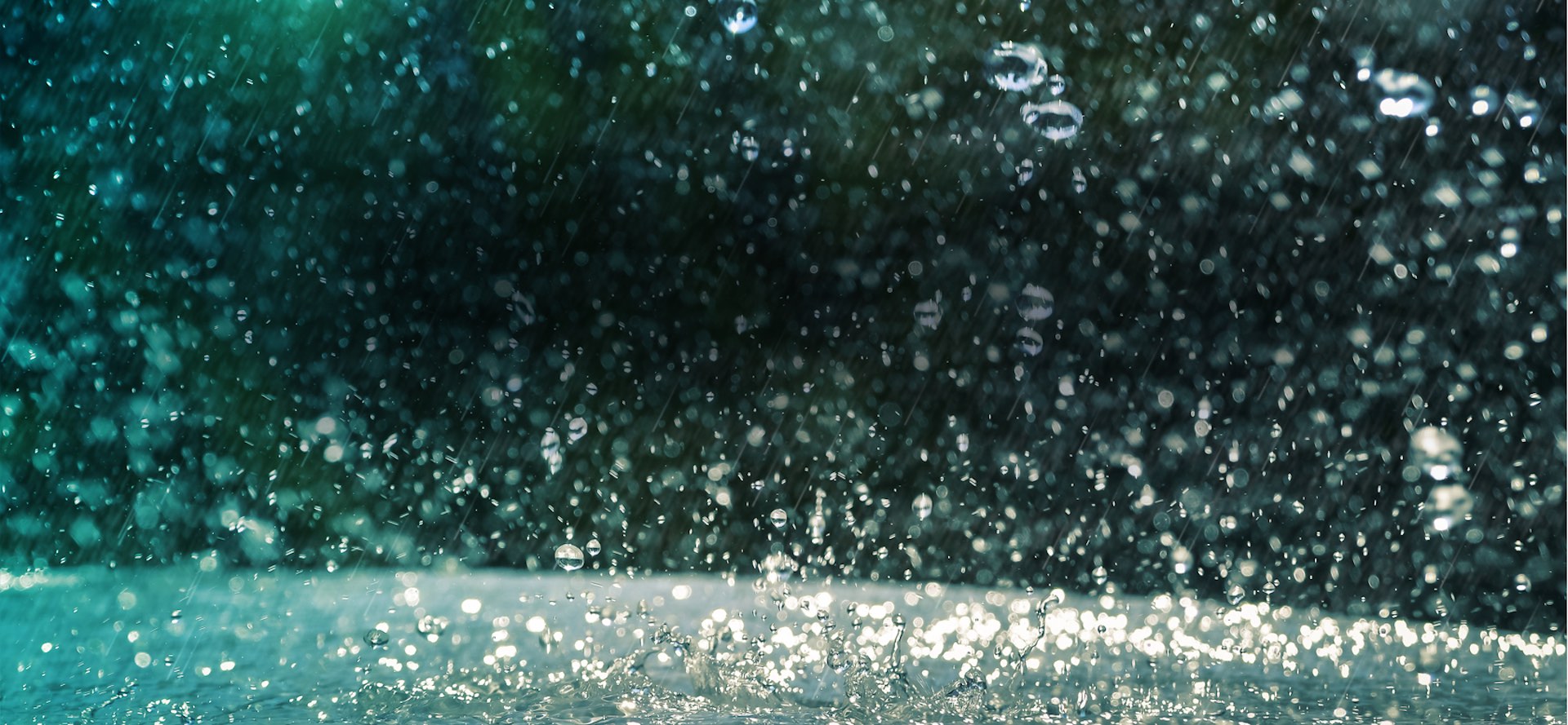 Monitorare la pioggia una foto per scoprire quanto piove Green.it