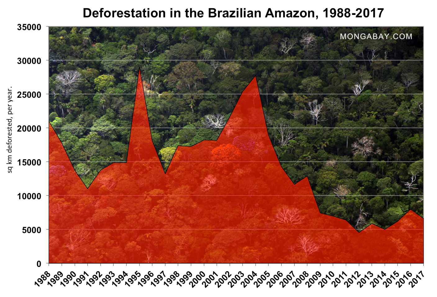 deforestazione amazzonia