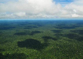 deforestazione amazzonia