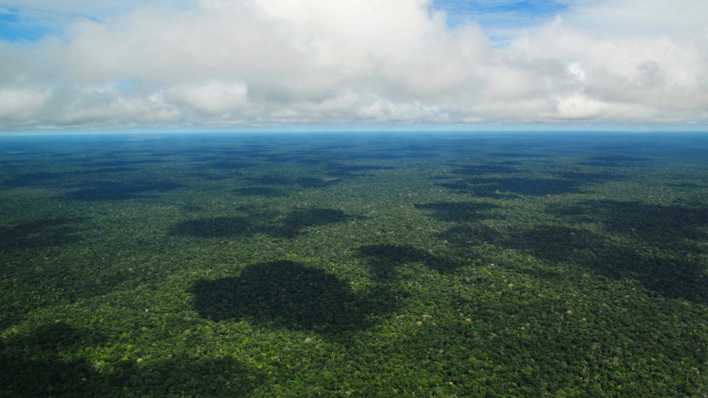 deforestazione amazzonia