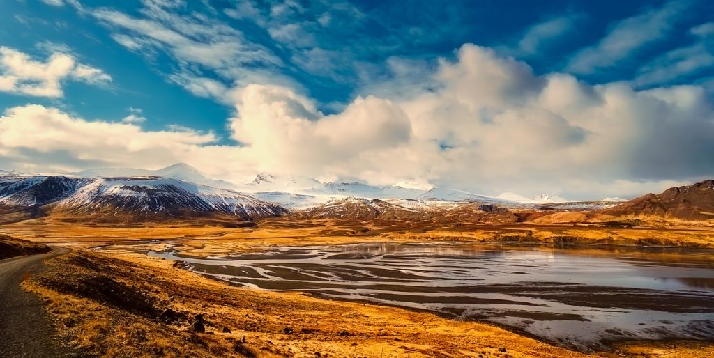 Rigenerazione delle foreste islandesi