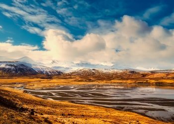 Rigenerazione delle foreste islandesi