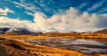 La rigenerazione delle foreste islandesi, dopo il massacro dei vichinghi Rigenerazione delle foreste islandesi