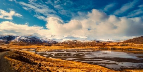 Rigenerazione delle foreste islandesi